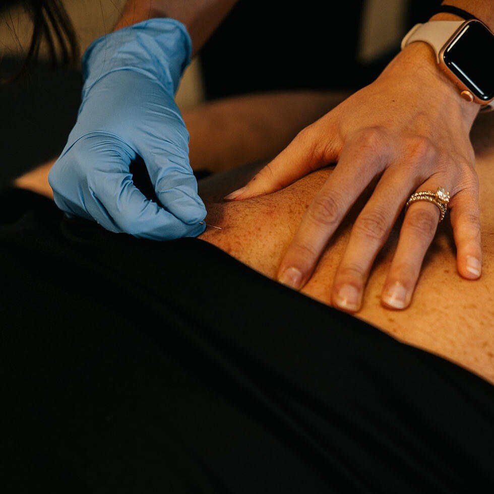 6cebc1_1a4001d9f5734496a60213769b7a8146~mv2-1